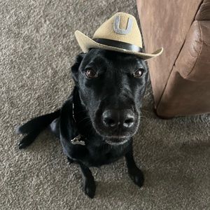 Meet your Posher, Tessa